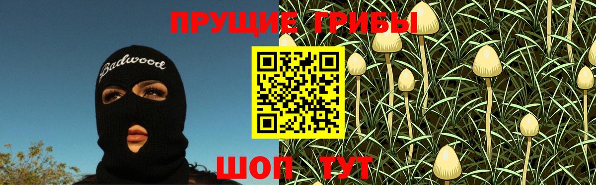 Псилоцибиновые грибы MAGIC MUSHROOMS Корсаков